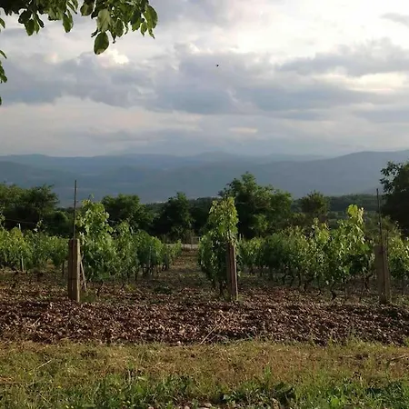 Civico25 Abruzzo - Azienda Agricola E Appartamento *